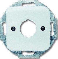 Busch-Jaeger Zentralscheibe mit Tragring für...